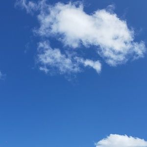 Meet your Posher, Dan